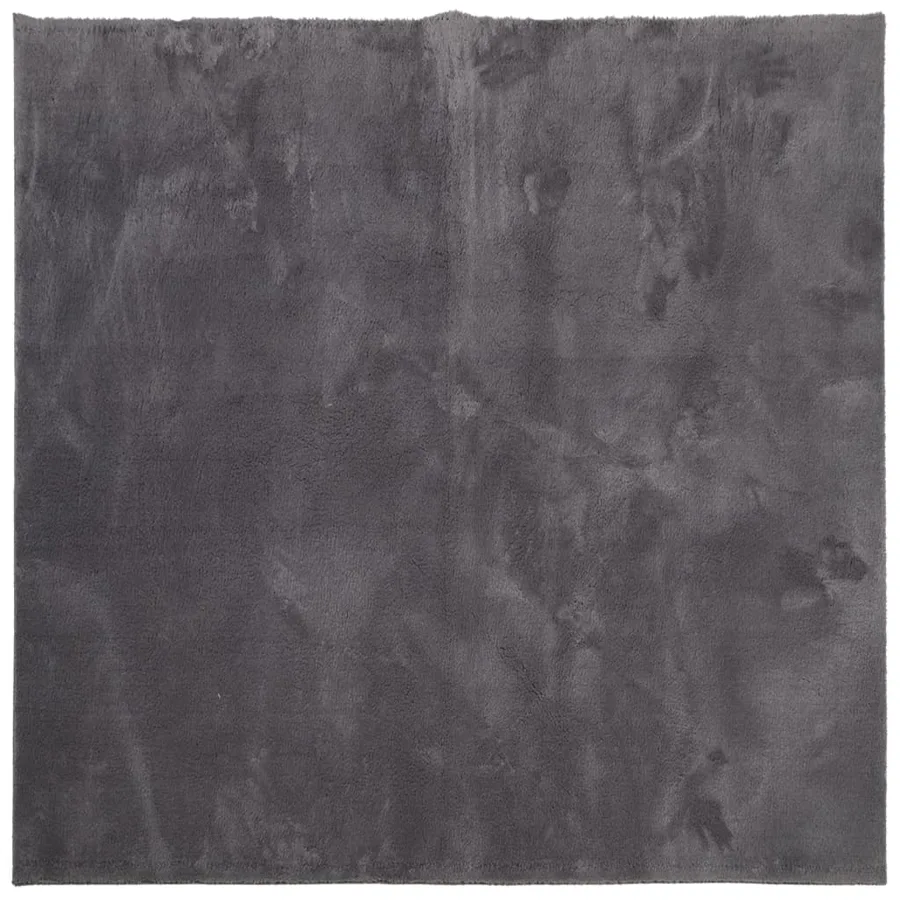 Tapis HUARTE à poils courts doux lavable anthracite 120x120 cm - 2