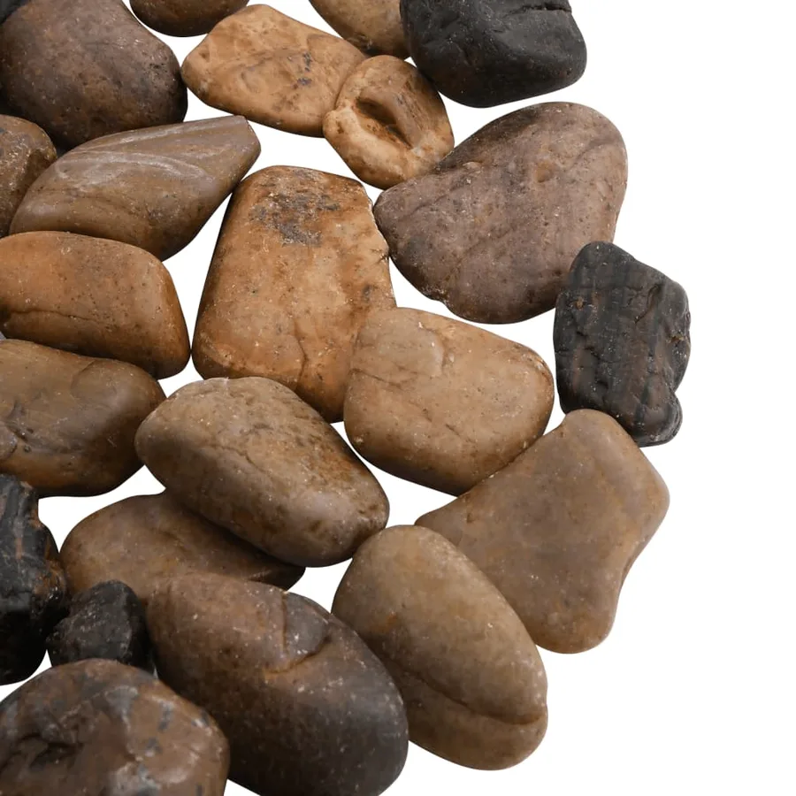 Galets polis 10 kg multicolores 2-5 cm - 4