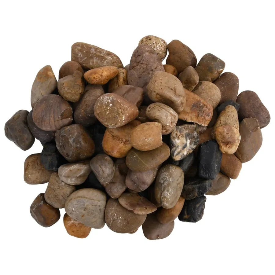 Galets polis 10 kg multicolores 2-5 cm - 4