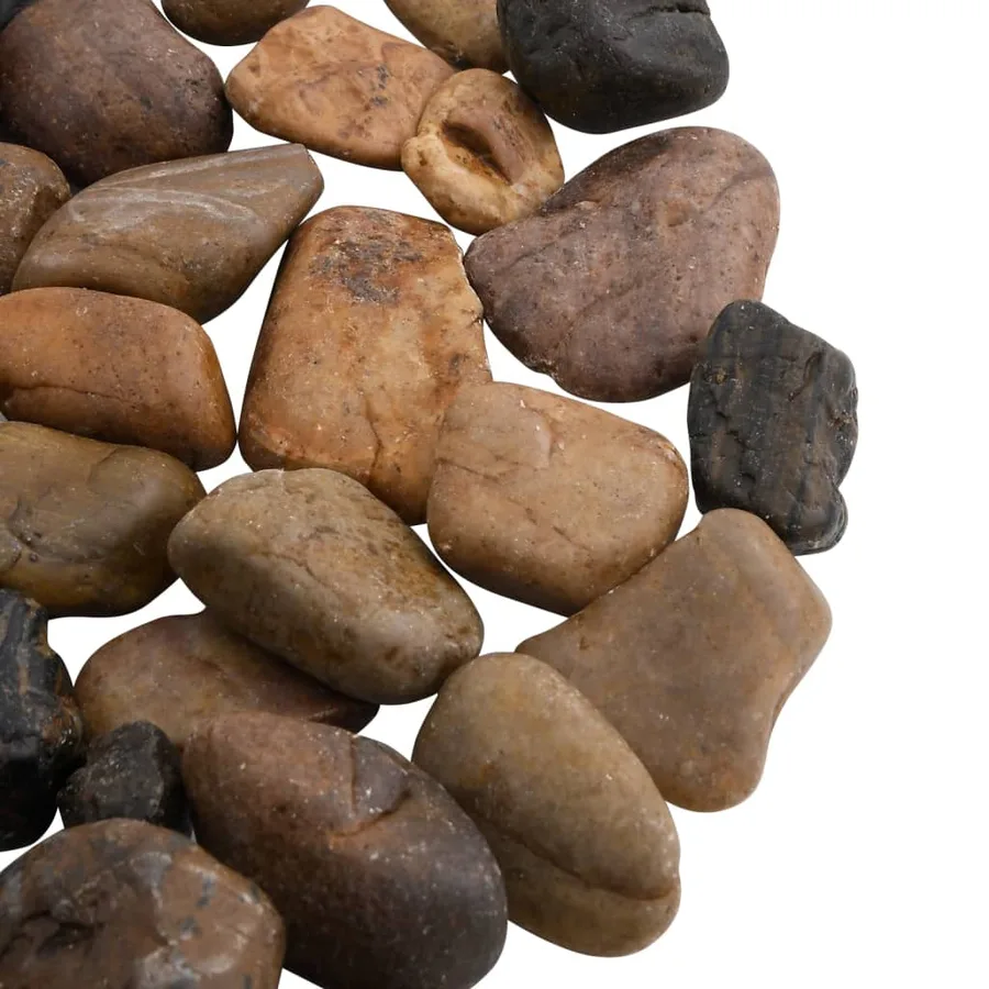 Galets polis 10 kg multicolores 2-5 cm - 5