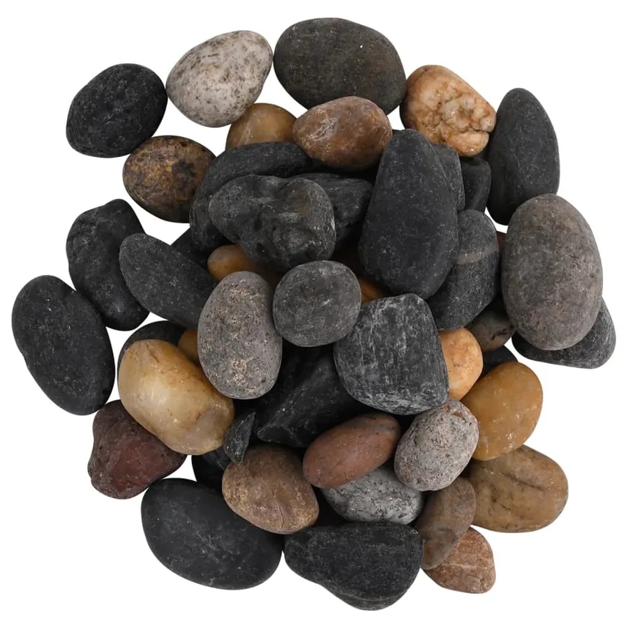 Galets polis 10 kg multicolores 5-8 cm - 4