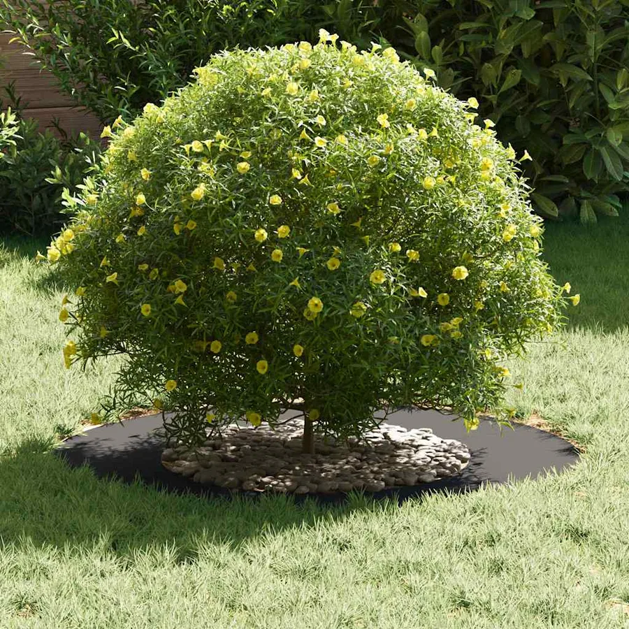 adapté pour anneaux d'arbre plats 5 pc Noir Ø40/70 cm Acier - 3