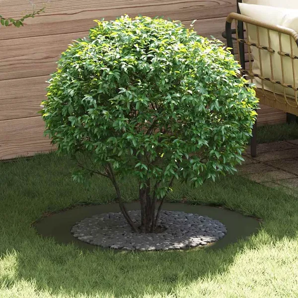adapté pour anneaux d'arbre plats 5 pc Vert olive Ø60/90 cm