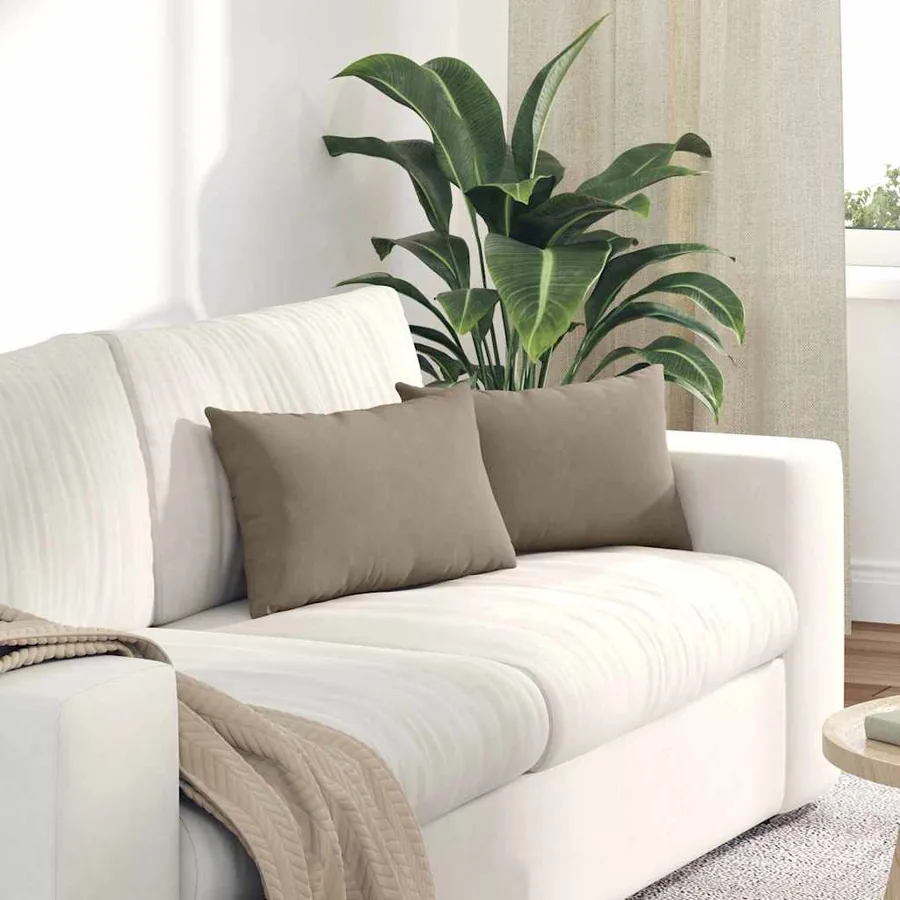 Coussins de canapé 2 pcs Taupe 50 x 30 cm tissu