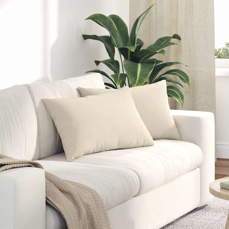 Coussins de canapé 2 pcs Beige 60 x 40 cm tissu