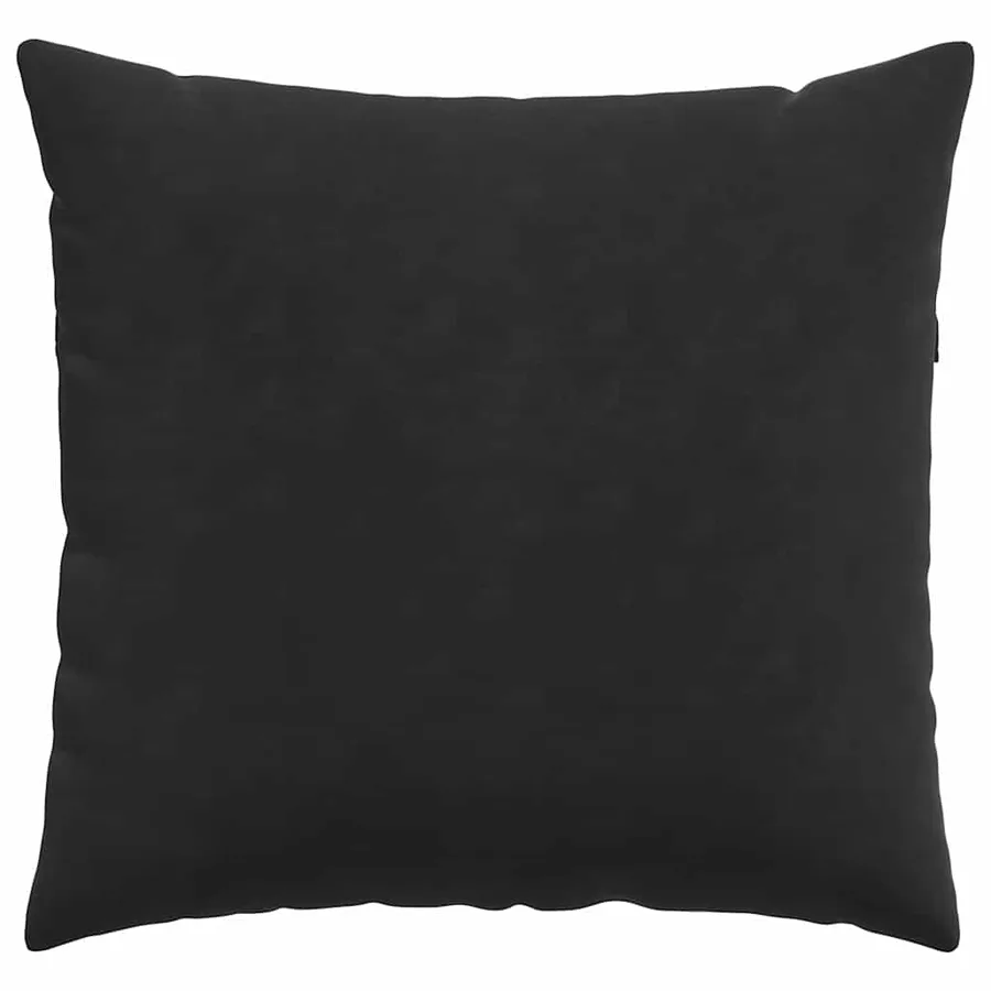 Coussins de canapé 2 pcs Noir 45 x 45 cm - 6