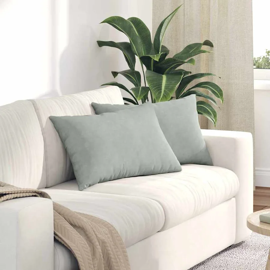 Coussins de canapé 2 pcs Gris clair 60 x 40 cm