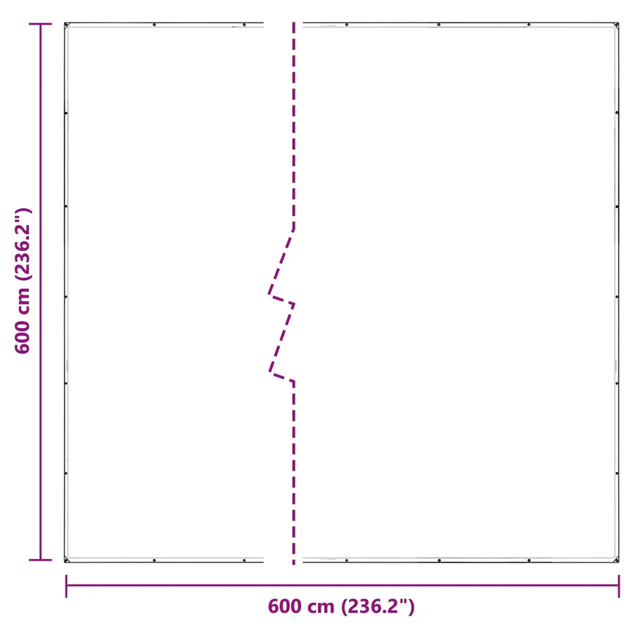Couverture pour plantes Transparent 6 x 6 m PVC - 10