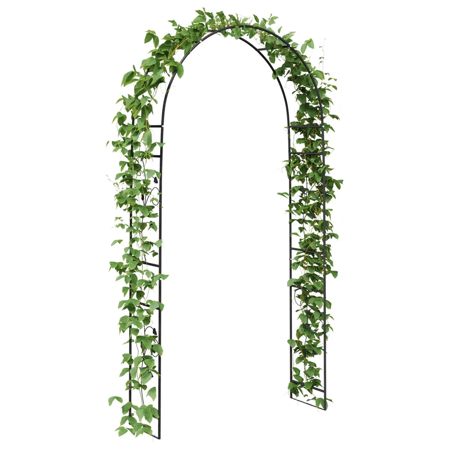 Arche de jardin Floral Noir 115 x 37 x 231 cm - 3