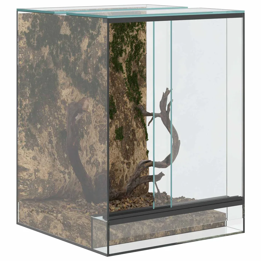 Terrarium avec stockage Transparent 30 x 30 x 40 cm Verre - 3