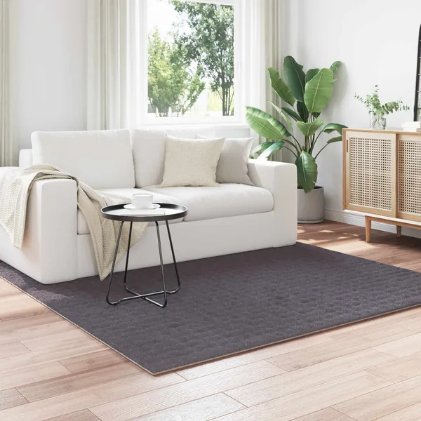 Tapis de surface Carré SIROLO Anthracite 200 x 200 cm Polyester