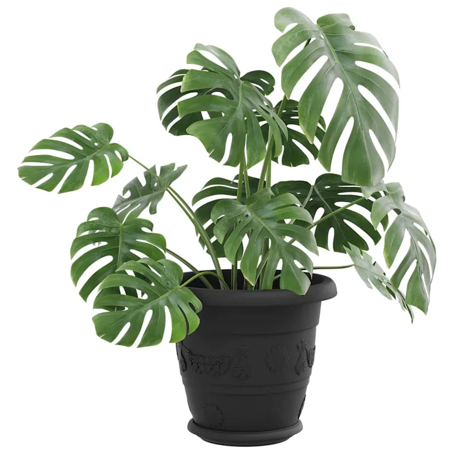 Plateau à fleurs rond 24 pcs Noir Ø 17,5 x 2 cm Plastique - 3
