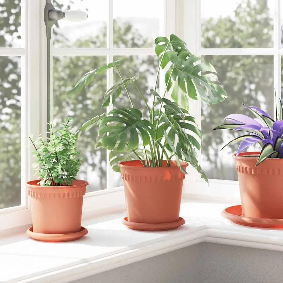Pot à fleurs rond 6 pcs Rouge brique Ø 17 x 14 cm Plastique - 4