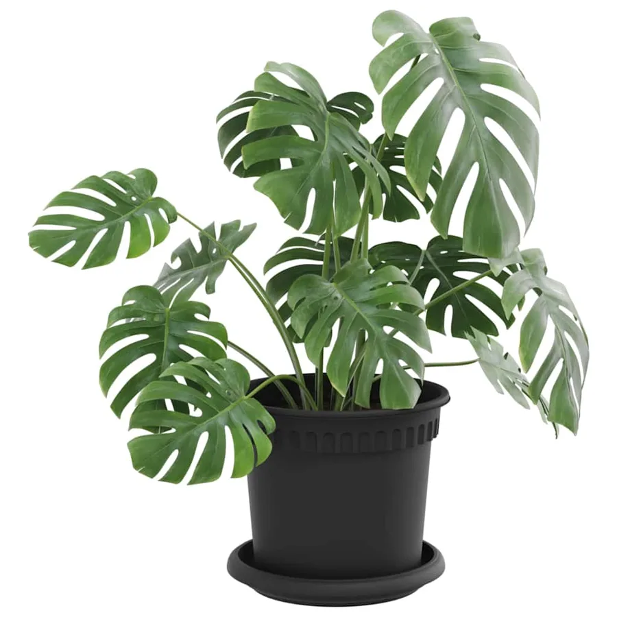 Pots de plantes 24 pcs Noir Ø 15 x 12 cm Plastique - 3