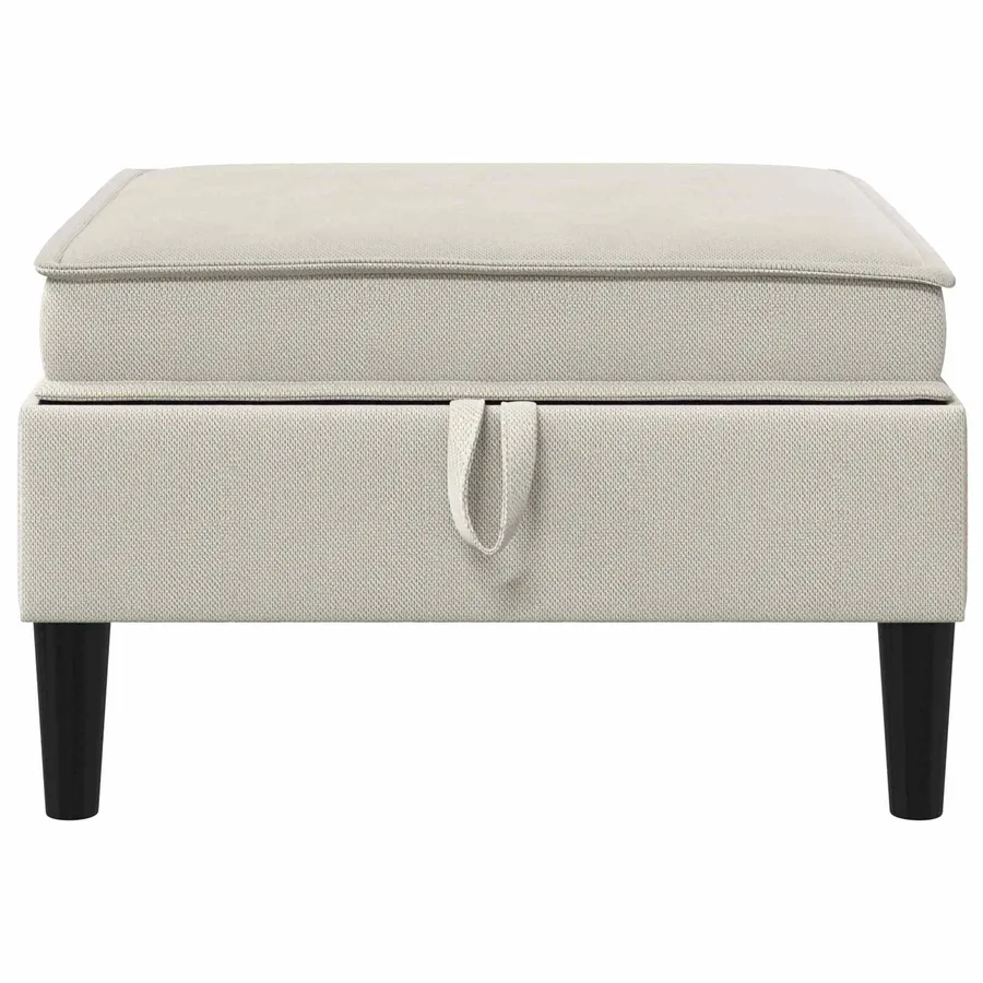 Pouf avec Rangement Avoine Velours - 4