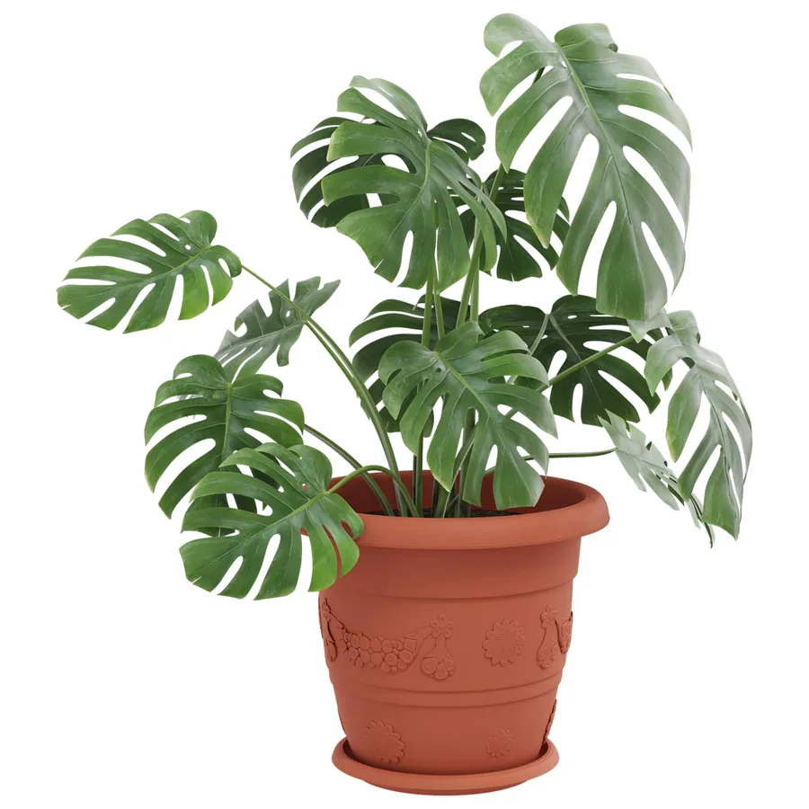 Pots de plantes 6 pcs Rouge brique Ø 34 x 28 cm Plastique - 3