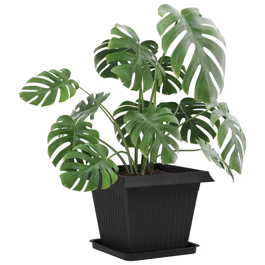 Pots de plantes 24 pcs Noir 43 x 43 x 33,5 cm Plastique - 3