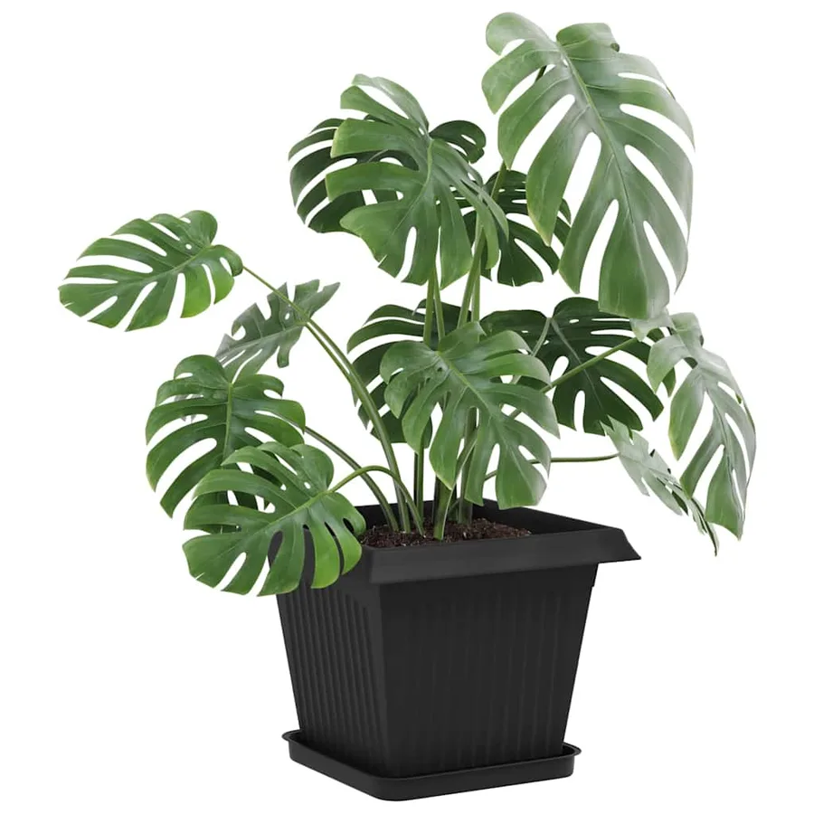 Plateau carré à fleurs 24 pcs Noir 25,5 x 25,5 x 2,5 cm - 3