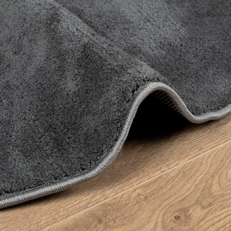 Tapis OVIEDO à poils courts anthracite Ø 120 cm - 6