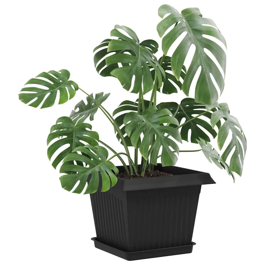 Plateau carré à fleurs 6 pcs Noir 18 x 18 x 2 cm Plastique - 3