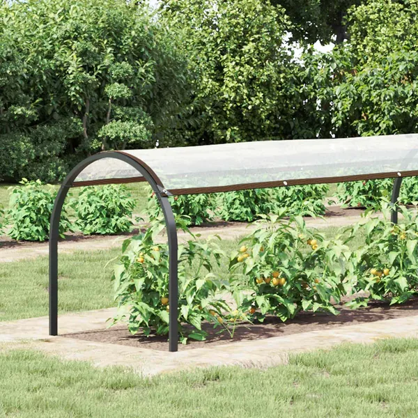 Couverture pour plantes Transparent 6 x 1,5 m PE