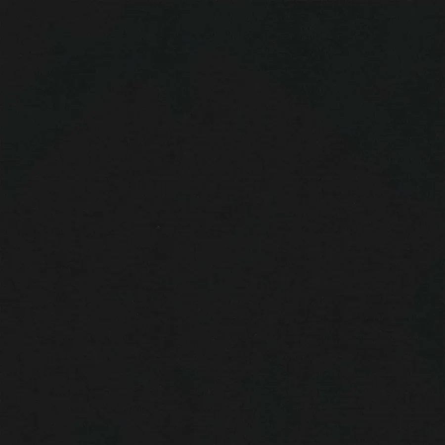 Fauteuil Noir Velours - 7