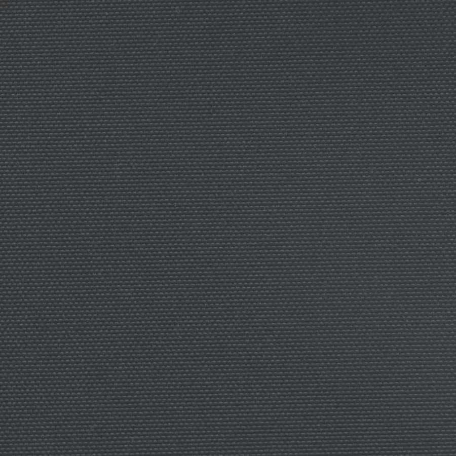 Auvent latéral rétractable noir 220x600 cm - 9