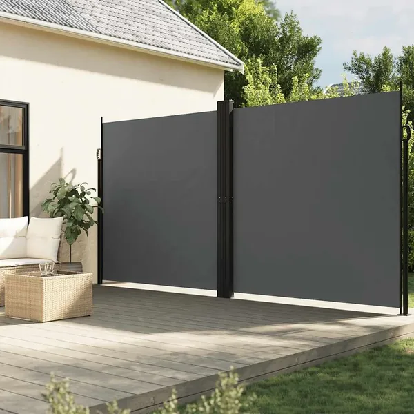 Auvent latéral rétractable anthracite 220x1000 cm