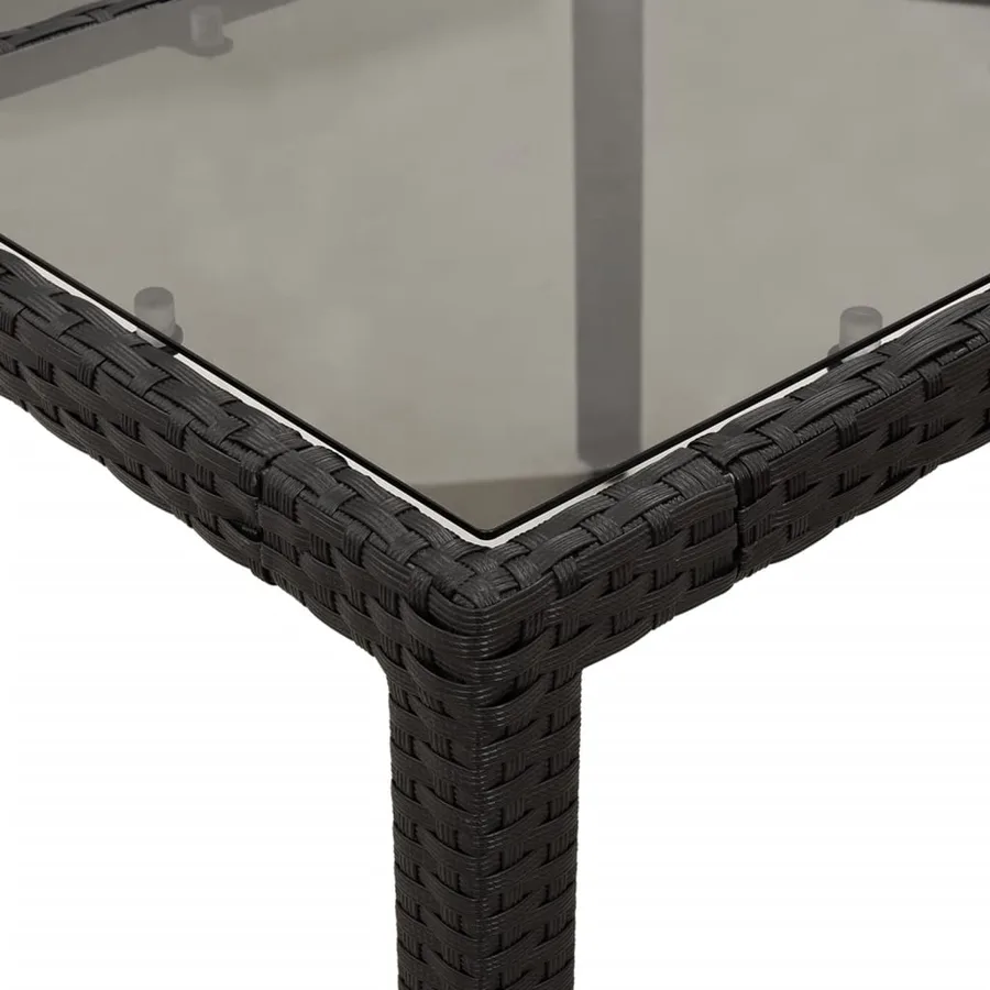 Ensemble à manger de jardin et coussins 3 pcs noir rotin verre - 6