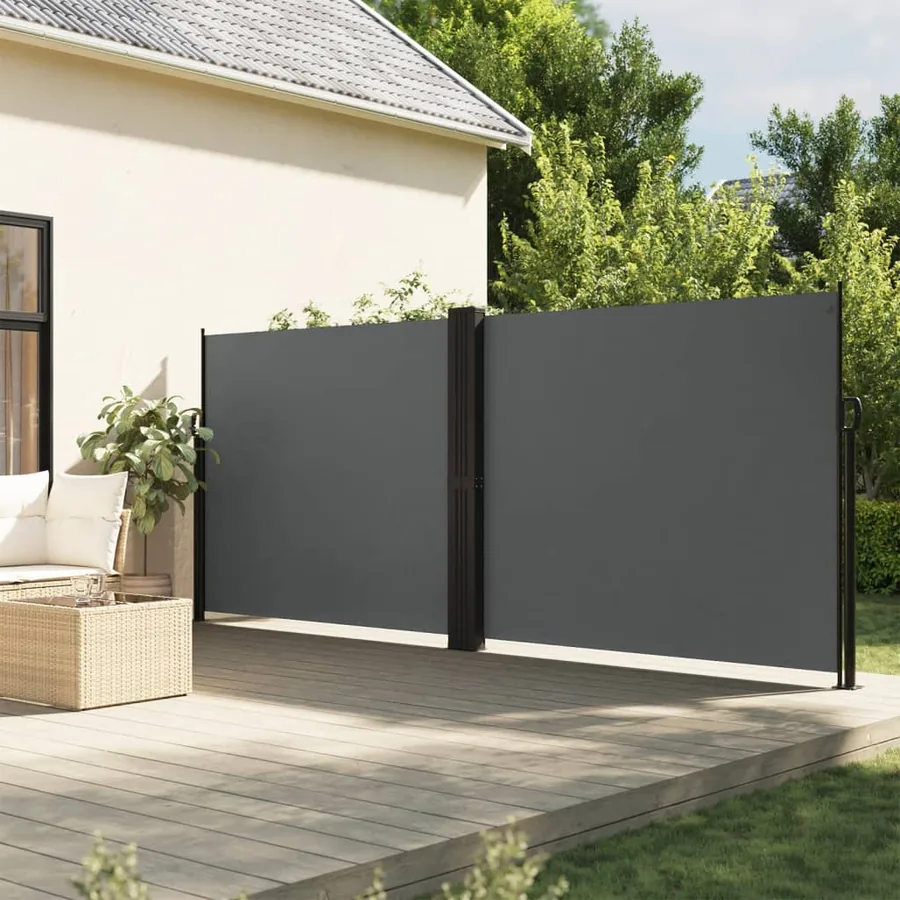 Auvent latéral rétractable anthracite 160x1000 cm