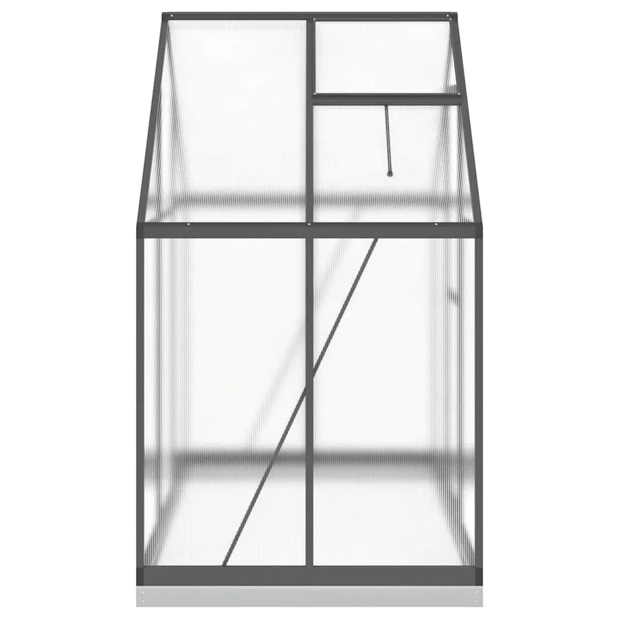 Serre avec cadre de base anthracite 169x114x202 cm aluminium - 4