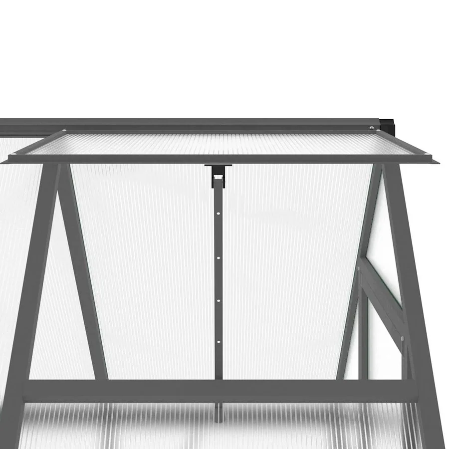 Serre avec cadre de base anthracite 169x114x202 cm aluminium - 9