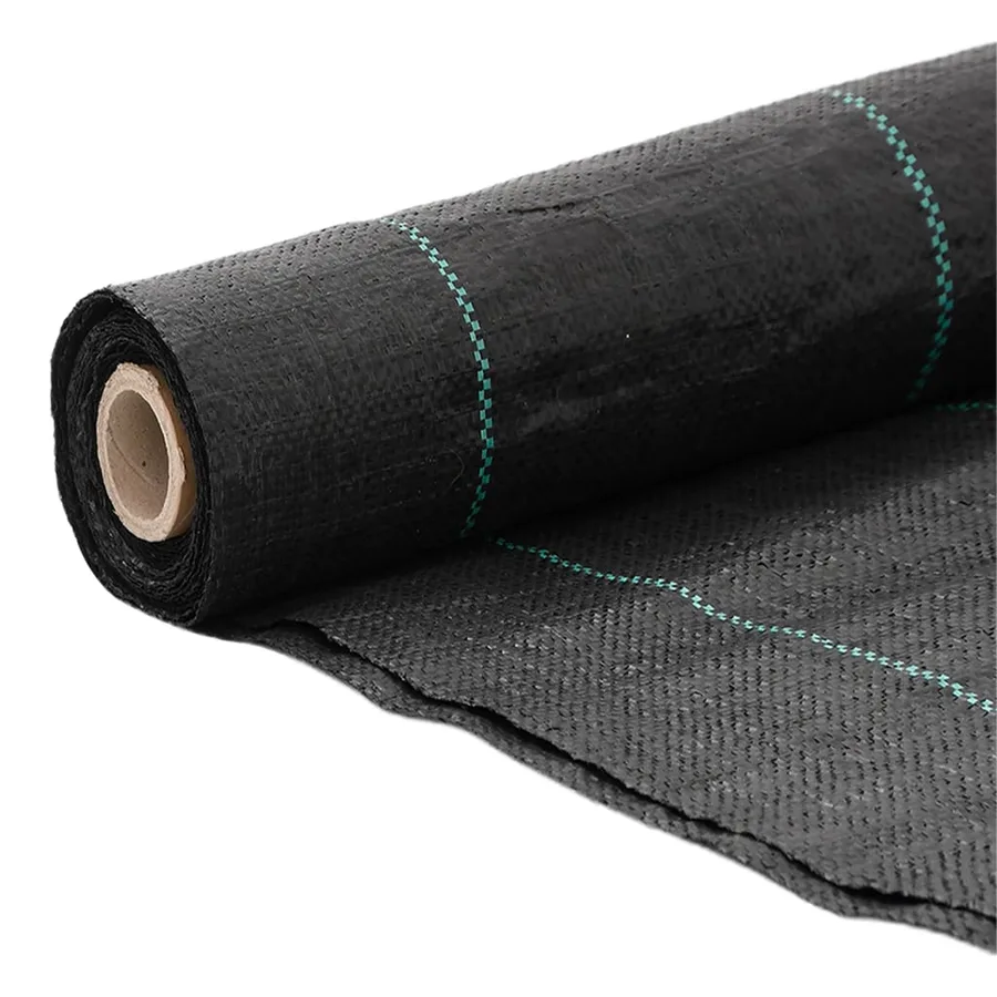 Membrane anti-mauvaises herbes noir 2x150 m PP - 3