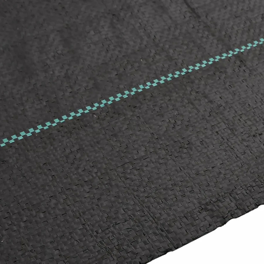 Membrane anti-mauvaises herbes noir 2x150 m PP - 4