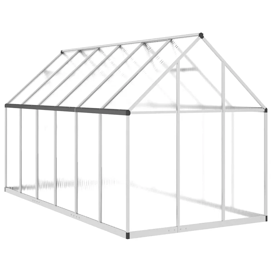 Serre avec cadre de base argenté 334x169x195 cm aluminium - 5