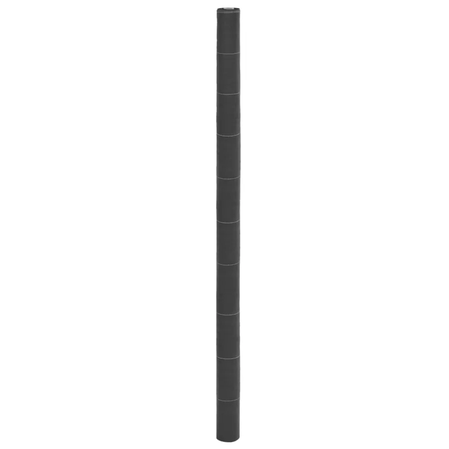 Membrane anti-mauvaises herbes noir 2x50 m PP