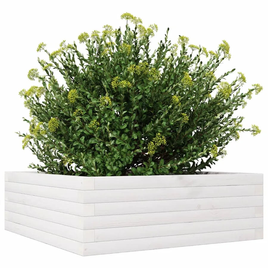 Jardinière blanc 70x70x23 cm bois de pin massif - 4