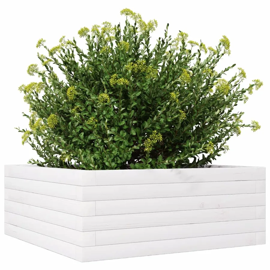 Jardinière blanc 60x60x23 cm bois de pin massif - 4
