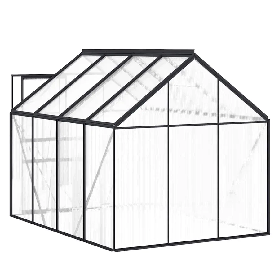 Serre avec cadre de base Anthracite Aluminium 4,75 m² - 6