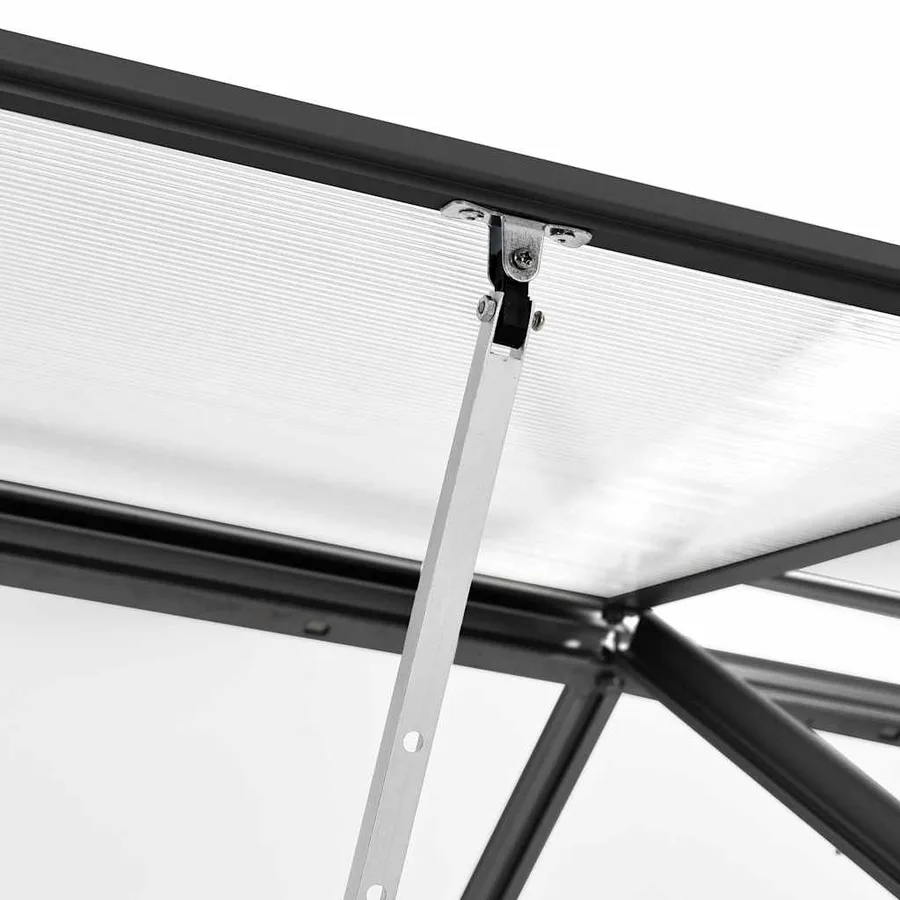 Serre avec cadre de base Anthracite Aluminium 4,75 m² - 7