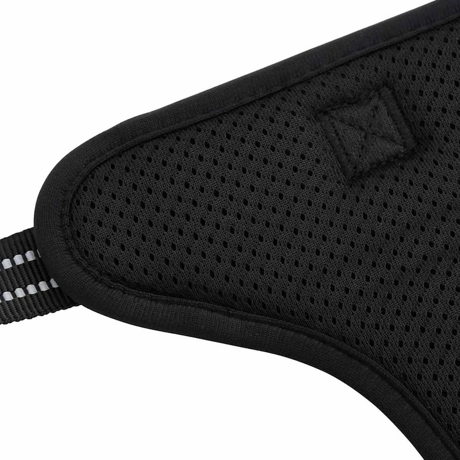 Harnais pour chien avec laisse et collier réglables noir S - 10