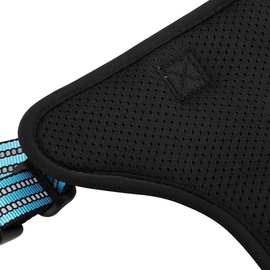 Harnais pour chien avec laisse et collier réglables bleu XL - 10