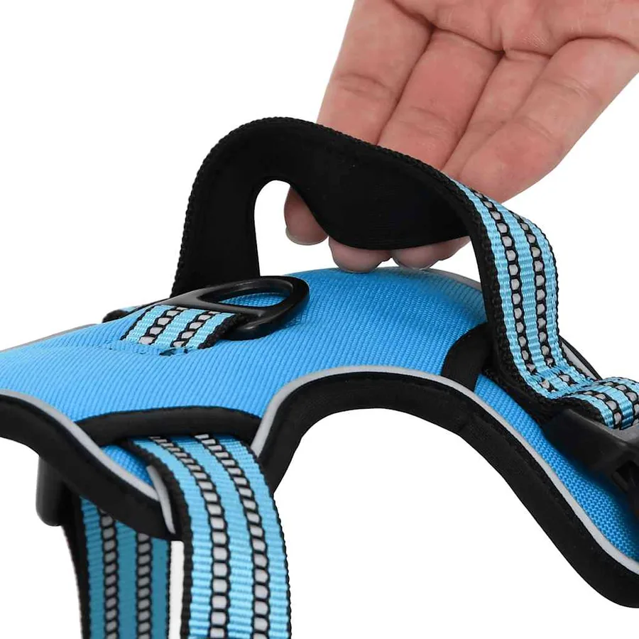 Harnais pour chien avec laisse et collier réglables bleu XL - 12