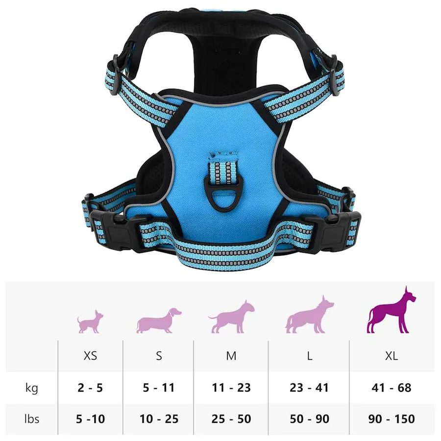 Harnais pour chien avec laisse et collier réglables bleu XL - 14