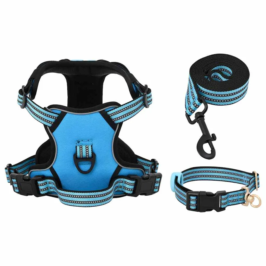 Harnais pour chien avec laisse et collier réglables bleu XL - 4