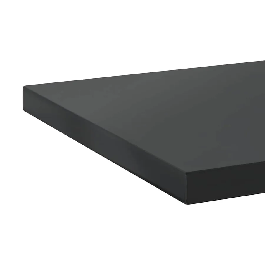 Étagères murales 2 pcs 100x30 cm noir acier inoxydable - 9