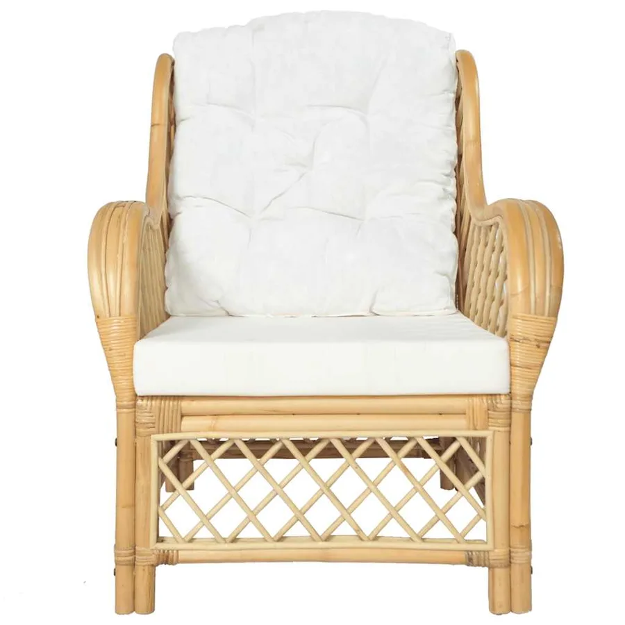 Canapé avec coussin Rotin naturel et lin - 2