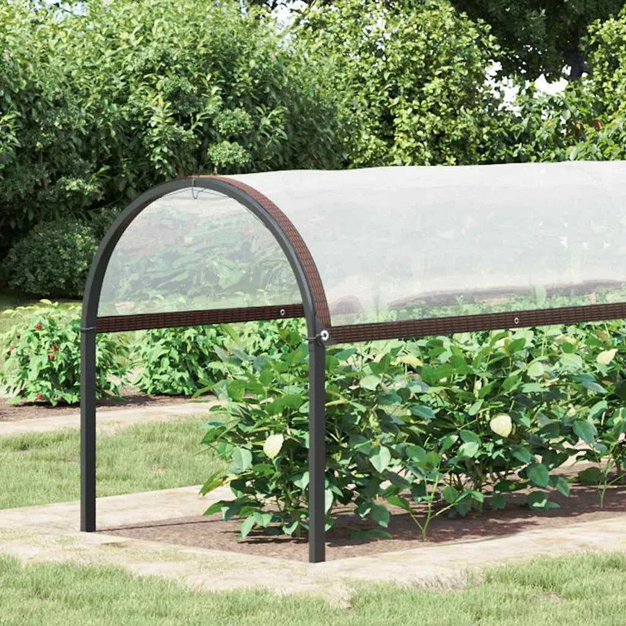 Housse de protection plantes avec œillets 2x8 m polyéthylène - 2