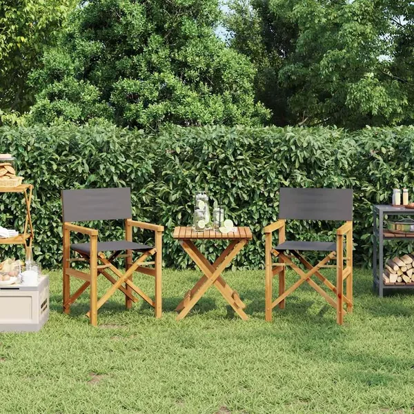 Chaises de metteur en scène pliantes lot de 2 Bois teck massif