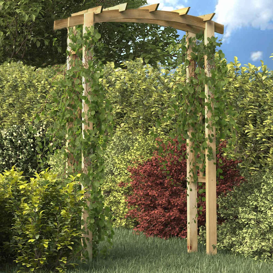 Voûte en treillis 150x60x210 cm Bois - 3